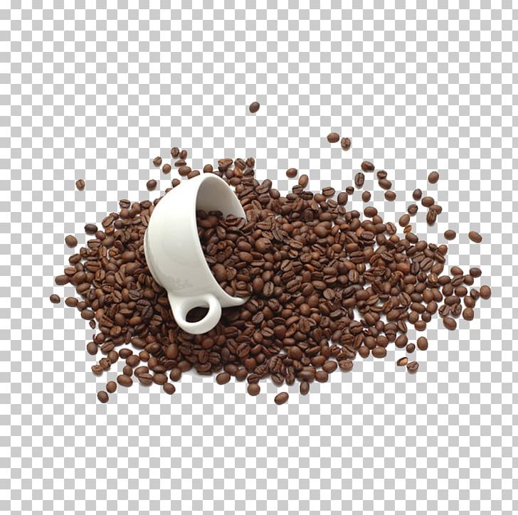 Coffee Bean Tea Chocolate Milk Coffee Cup PNG, Clipart, Arabica Coffee, Bean, Beans, Chocolate Milk, Coffee Free PNG Download