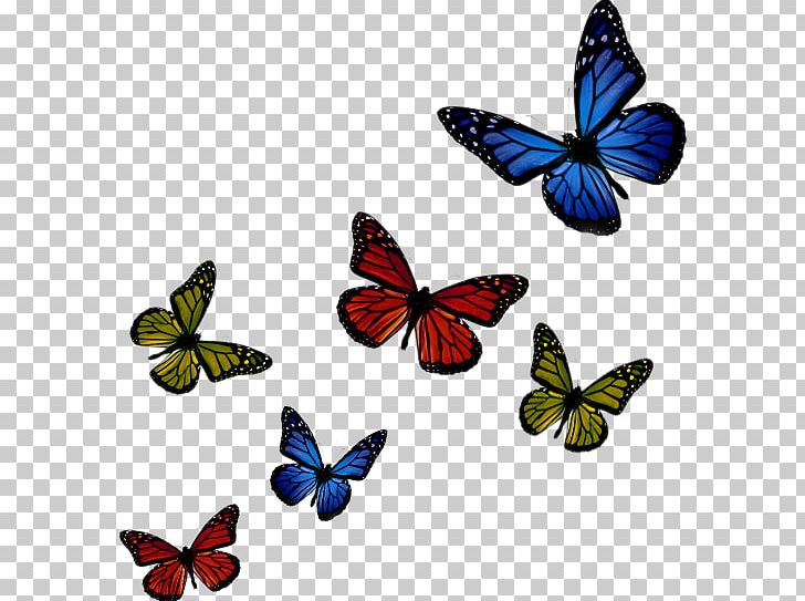 Monarch Butterfly Green 123RF (USA & Canada) Blue PNG, Clipart, Blue, Brush Footed Butterfly, Butterflies And Moths, Butterfly, Drawing Free PNG Download