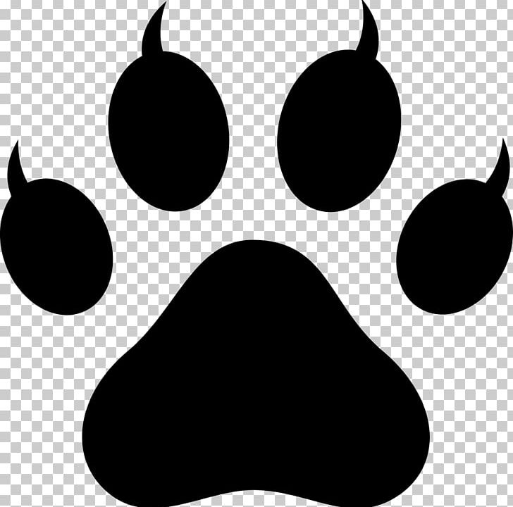 Paw Siberian Husky Cat Bear PNG, Clipart, Animal, Animals, Bear, Black, Black And White Free PNG Download