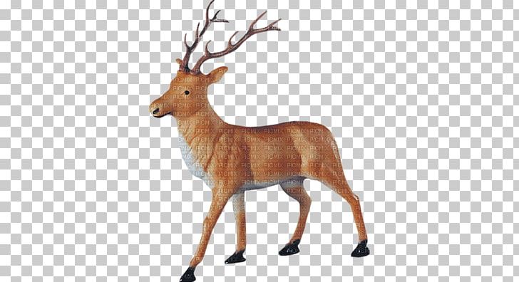 Santa Claus's Reindeer Santa Claus's Reindeer Antler PNG, Clipart,  Free PNG Download
