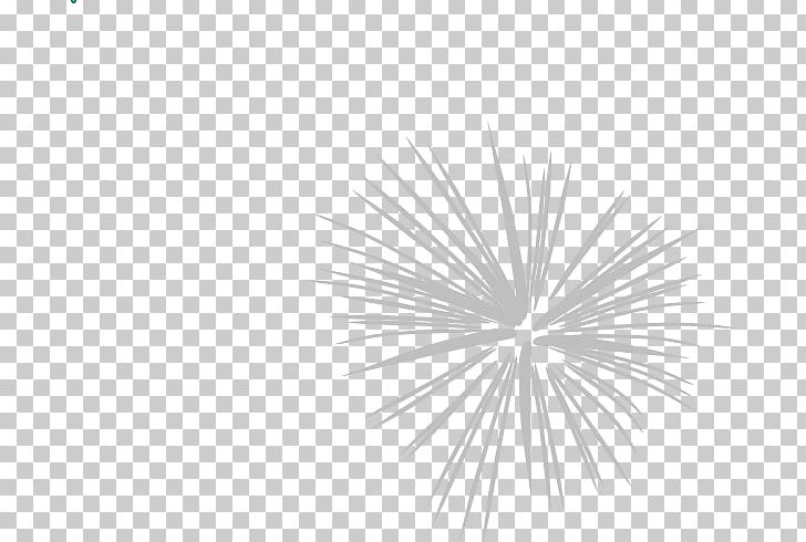 2016 San Pablito Market Fireworks Explosion PNG, Clipart, Black And White, Cartoon, Circle, Computer Icons, Computer Wallpaper Free PNG Download