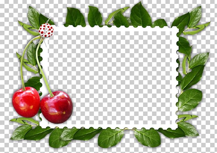 Cherry Frames PNG, Clipart, Cat, Cerise, Cherry, Diaporama, Food Free PNG Download