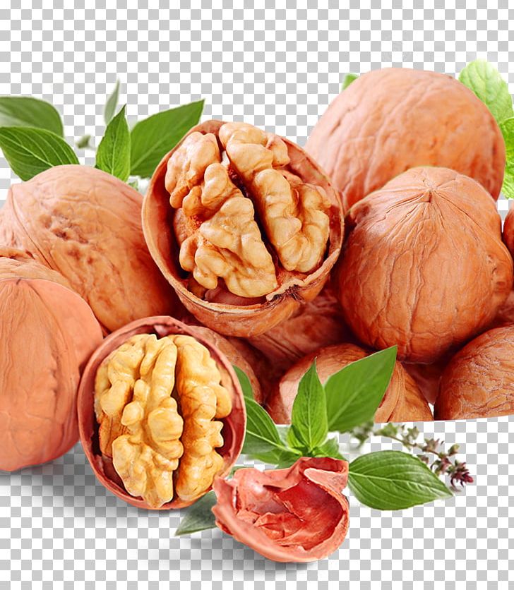 English Walnut PNG, Clipart, Big Ben, Big Sale, Creative Background, Dried Fruit, Encapsulated Postscript Free PNG Download