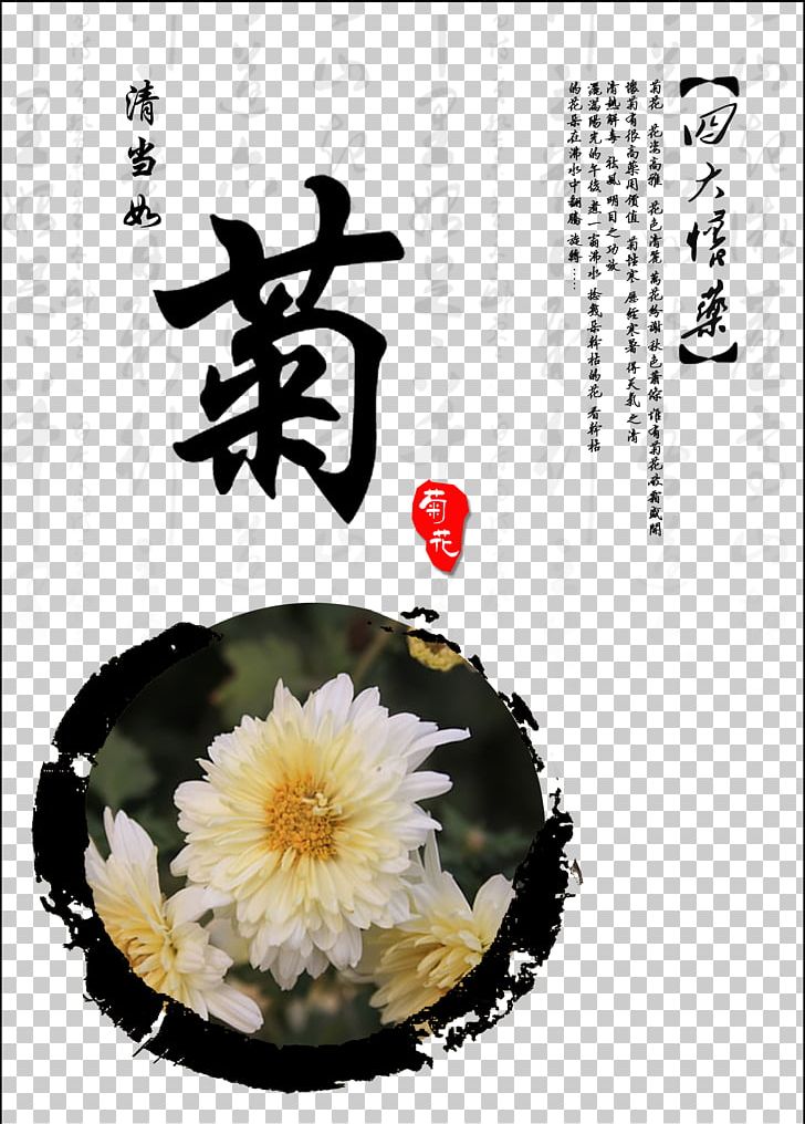 Jiaozuo Chrysanthemum Xd7grandiflorum Chrysanthemum Tea PNG, Clipart, Chinese, Chinese Herbal Medicine, Chrysanthemum Chrysanthemum, Chrysanthemums, Flower Free PNG Download
