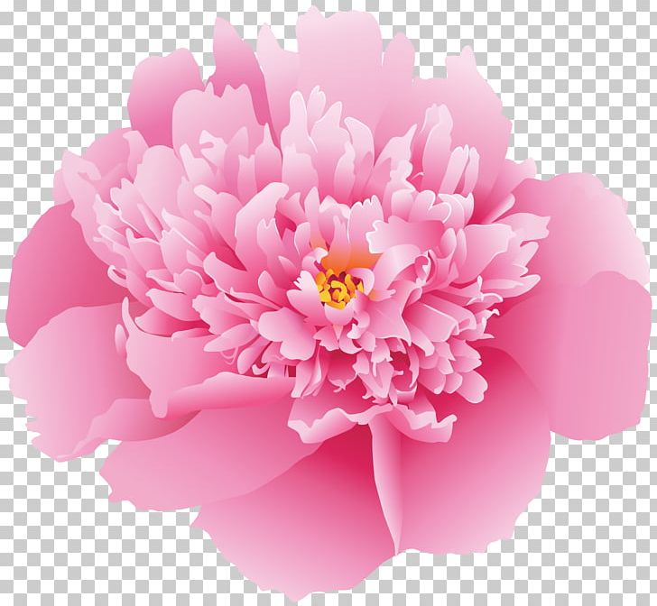 Peony Art PNG, Clipart, Art, Barrette, Cartoon, Download, Flower Free PNG Download