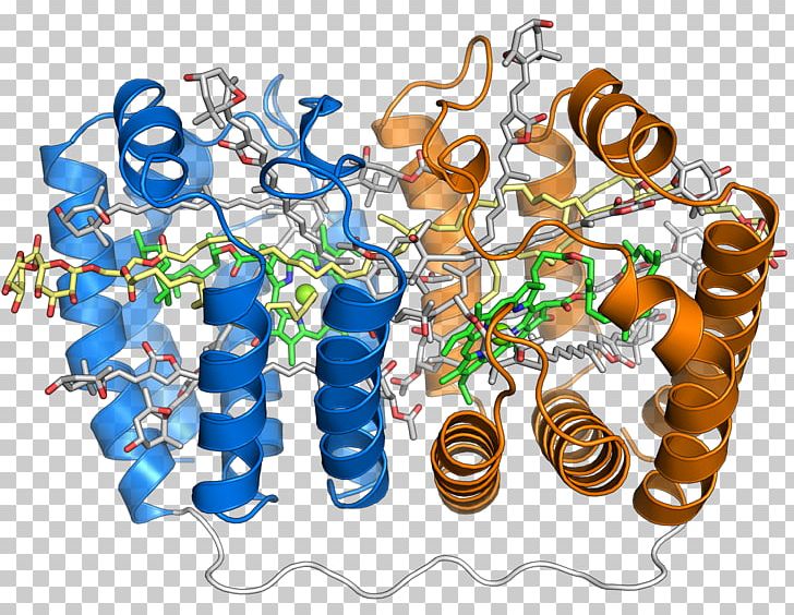 Peridinin-chlorophyll-protein Complex Peridinin-chlorophyll-protein Complex Light-harvesting Complex PNG, Clipart, Biological Pigment, Body Jewelry, Chlorophyll, Chlorophyll A, Chloroplast Free PNG Download