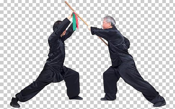 Shaolin Monastery Hung Ga Shaolin Kung Fu Tai Chi Neijia PNG, Clipart, Chin, Chinese Martial Arts, Dinosaur Planet, Gee, Hung Ga Free PNG Download