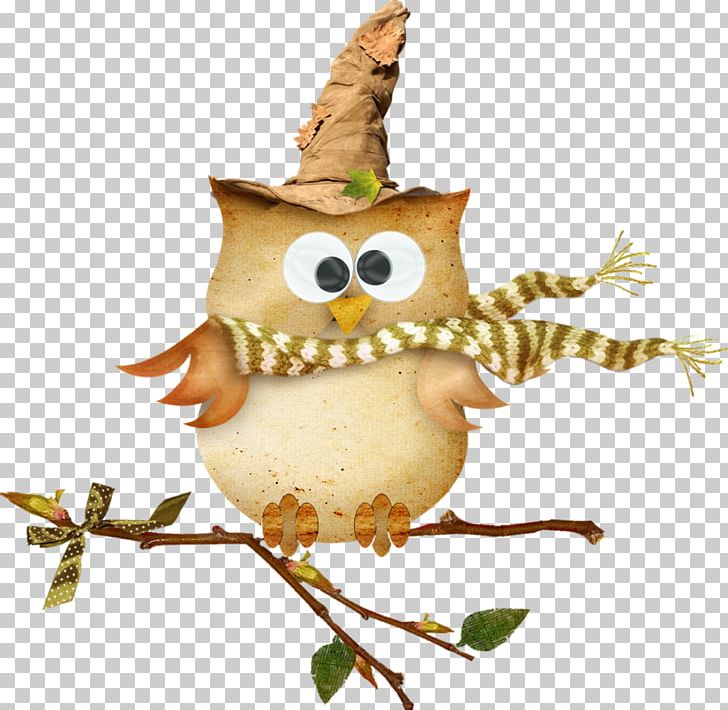 Bird True Owl Little Owl PNG, Clipart, Animals, Beak, Bird, Bird Of Prey, Christmas Ornament Free PNG Download