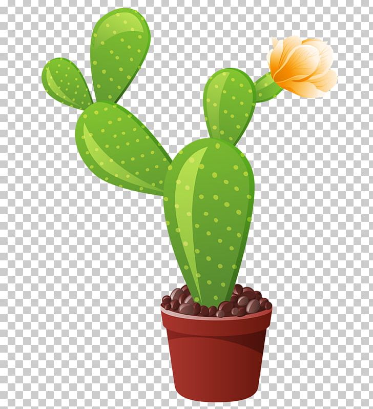 Cactaceae Garden PNG, Clipart, Barbary Fig, Cactaceae, Cactus, Cactus Garden, Caryophyllales Free PNG Download