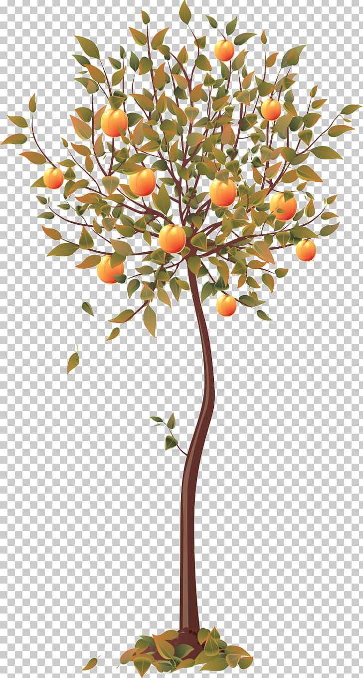 Four Seasons Hotels And Resorts Tree PNG, Clipart, Autumn, Beautiful, Branch, Clip Art, Computer Icons Free PNG Download