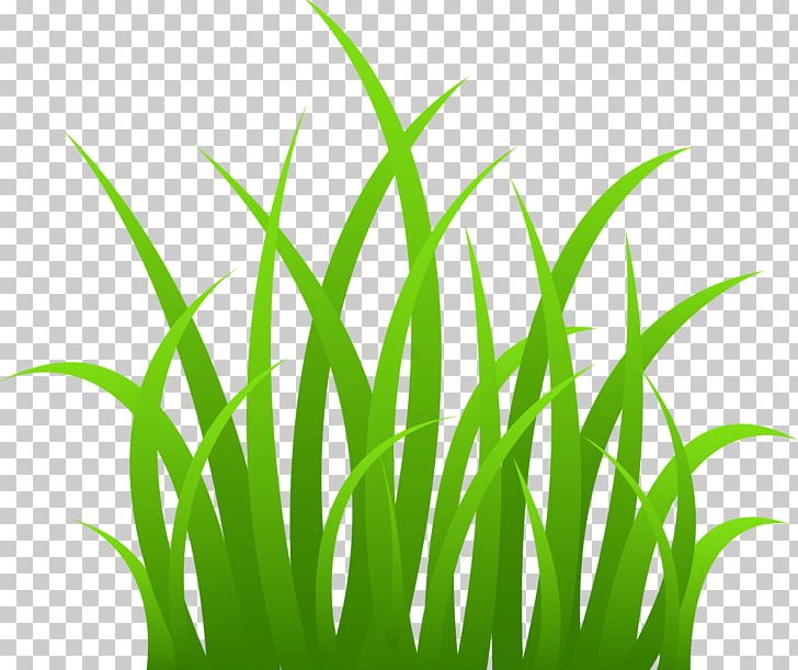 Free Content PNG, Clipart, Animated, Animated Grass Cliparts, Animation, Clip Art, Commodity Free PNG Download