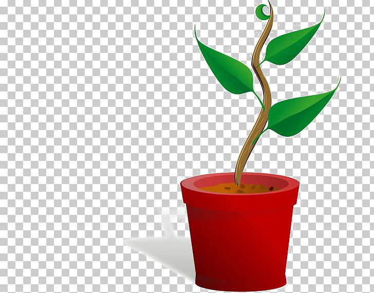 Open Plants Graphics PNG, Clipart, Computer Icons, Cup, Dimension, Document, Download Free PNG Download