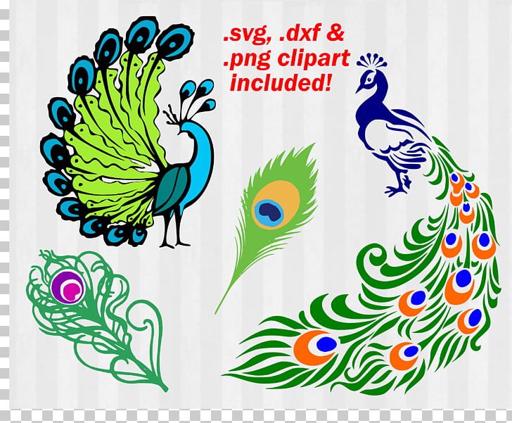Bird Peafowl AutoCAD DXF PNG, Clipart, Animals, Art, Asiatic Peafowl, Autocad Dxf, Beak Free PNG Download