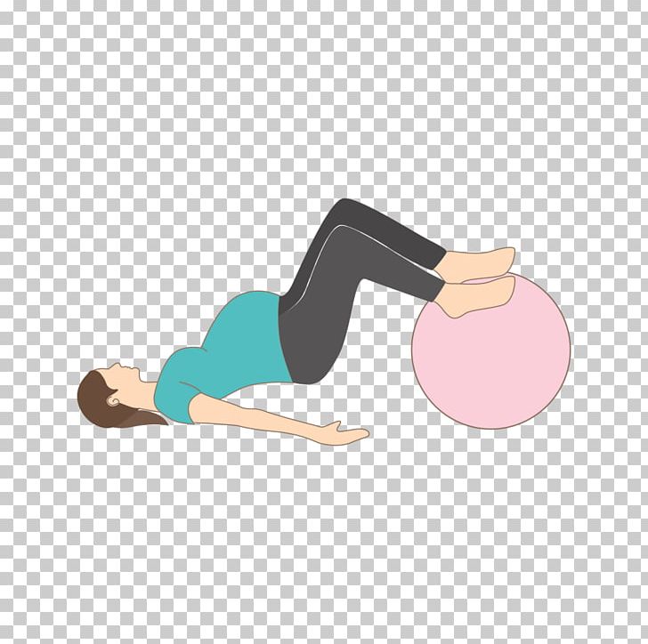 Exercise Balls Core Stability Fitness Centre Yoga & Pilates Mats PNG, Clipart, Aerobic Exercise, Arm, Balance, Ball, Core Stability Free PNG Download