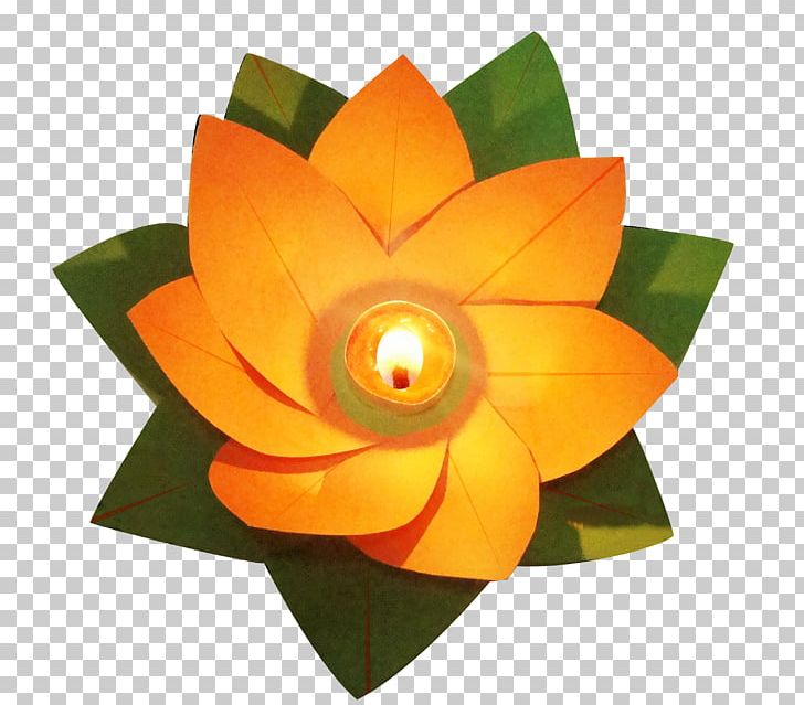 Lantern Lamp Nelumbo Nucifera PNG, Clipart, Candle, Download, Encapsulated Postscript, Euclidean Vector, Flower Free PNG Download