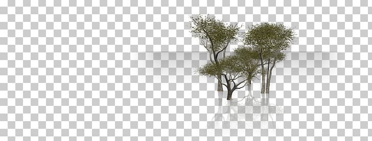 Line PNG, Clipart, Branch, Grass, Line, Plant, Tree Free PNG Download