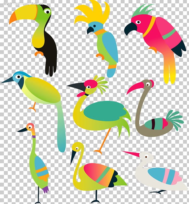 Bird Parrot Budgerigar Illustration PNG, Clipart, Animal, Animals, Artwork, Beak, Bird Free PNG Download