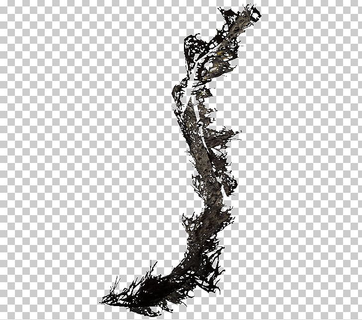 The Elder Scrolls V: Skyrim – Dragonborn Twig Tree Pine PNG, Clipart, Bear, Black And White, Branch, Christmas Tree, Conifer Cone Free PNG Download