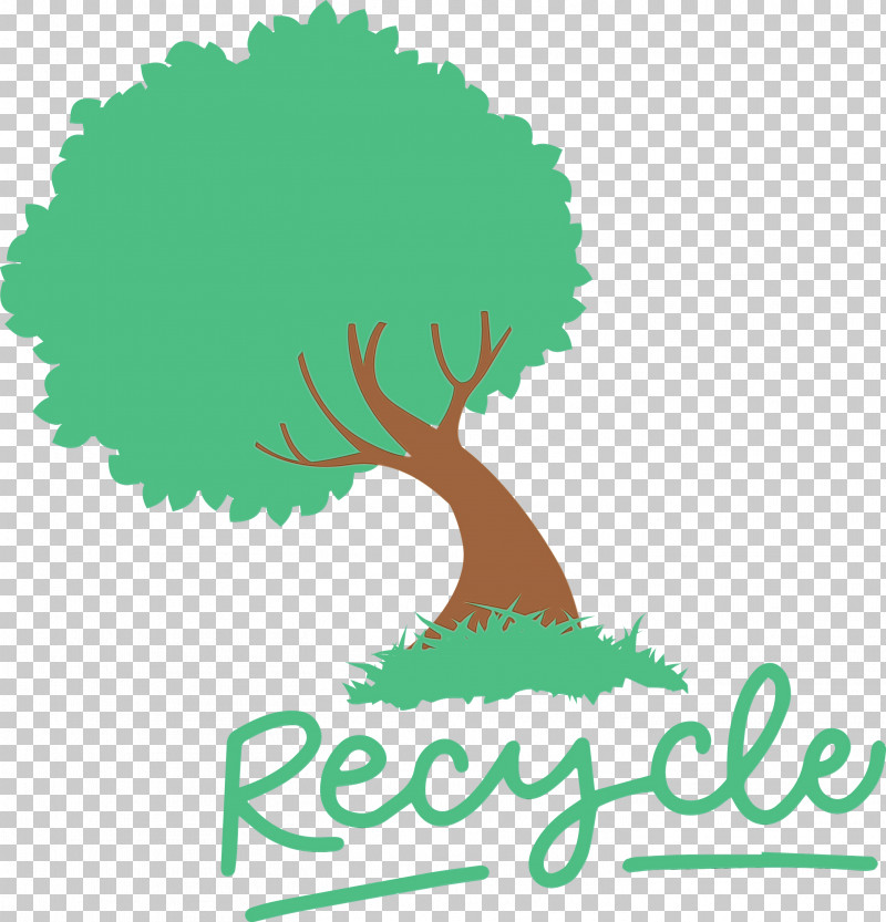 Palm Trees PNG, Clipart, Bark, Branch, Eco, Go Green, Leaf Free PNG Download