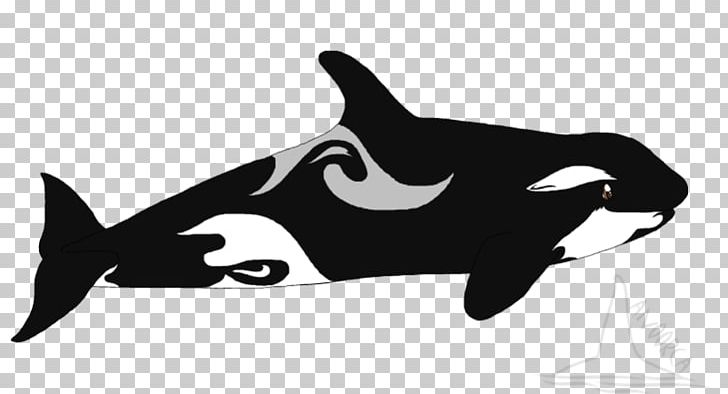 Cat Killer Whale Dolphin Mammal PNG, Clipart, Black, Black And White, Canidae, Carnivoran, Cat Free PNG Download