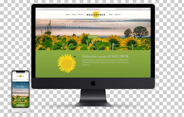 Common Sunflower Sustainable Landscaping Computer Monitors Multimedia PNG, Clipart, Advertising, Brand, Collaboration, Common Sunflower, Computer Monitor Free PNG Download