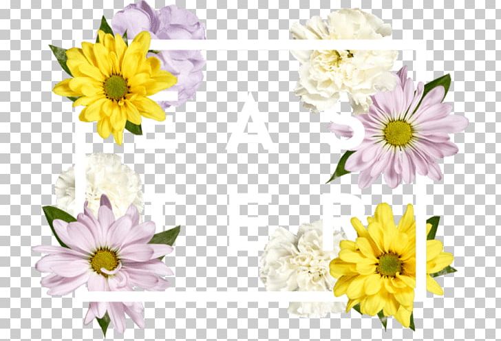 Floral Design Cut Flowers Chrysanthemum Flower Bouquet PNG, Clipart, Chrysanthemum, Chrysanths, Cut Flowers, Daisy, Daisy Family Free PNG Download