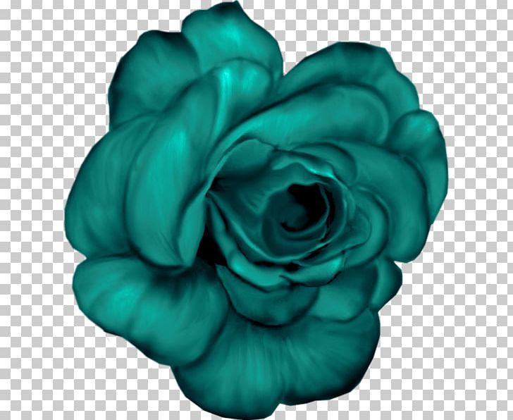 Garden Roses Flower Blue PNG, Clipart, Aqua, Blue, Bluegreen, Blue Rose, Color Free PNG Download