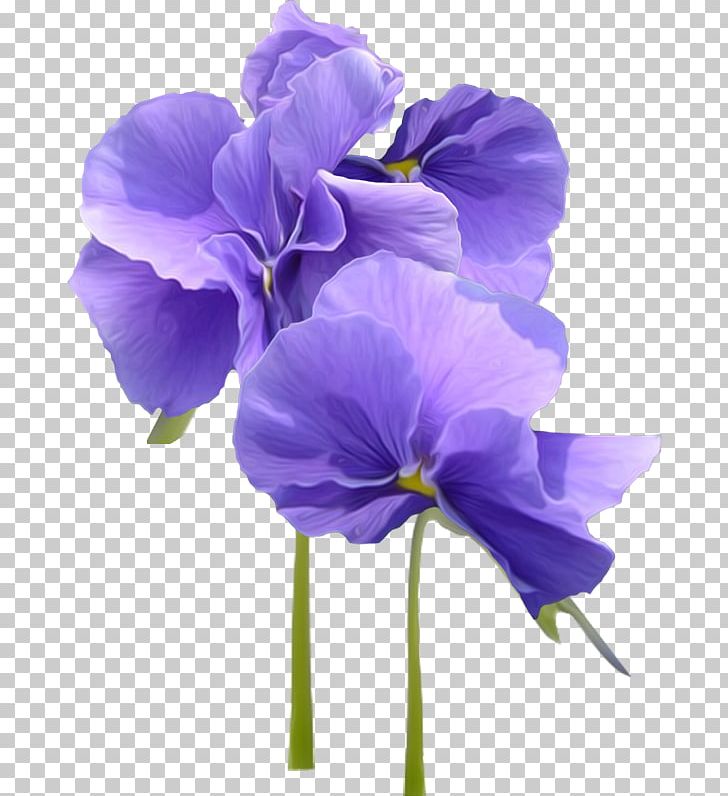 Violet Parr Flower Pansy PNG, Clipart, Blue, Cut Flowers, Desktop Wallpaper, Floral Design, Flower Free PNG Download