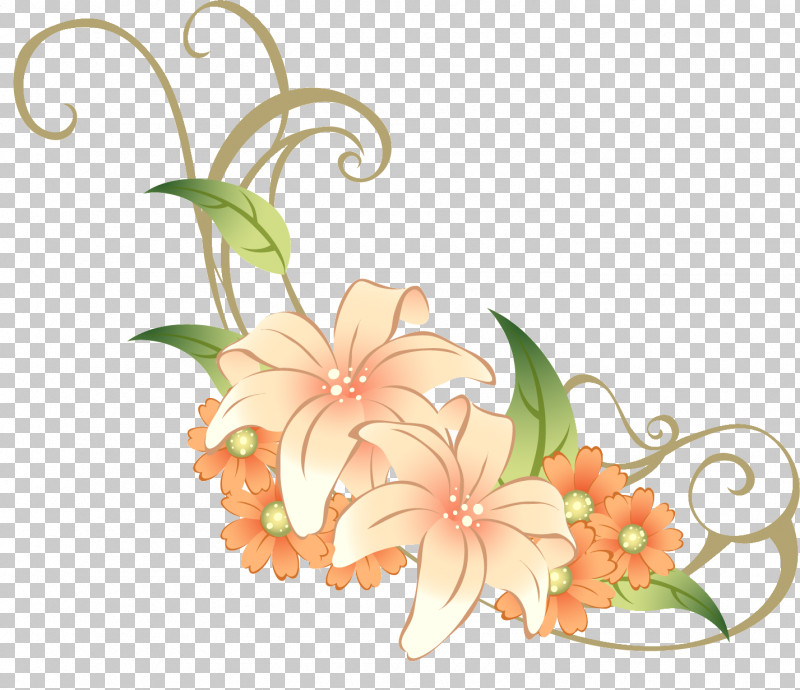 Lily Flower PNG, Clipart, Biology, Cut Flowers, Drawing, Floral Design, Flower Free PNG Download
