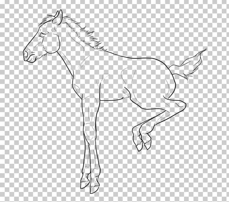 Foal Mule Thoroughbred Line Art Mustang PNG, Clipart, Animal Figure, Arm, Artwork, Black And White, Bridle Free PNG Download