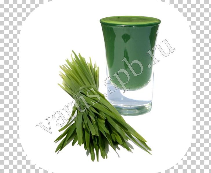 Juice Spelt Wheatgrass Health Farro PNG, Clipart, Acai Palm, Barley, Cereal, Commodity, Detoxification Free PNG Download