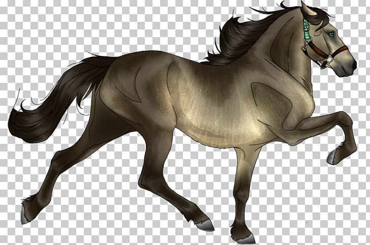 Mustang Foal Stallion Mare Pony PNG, Clipart, Animal Figure, Bear, Black, Bridle, Colt Free PNG Download