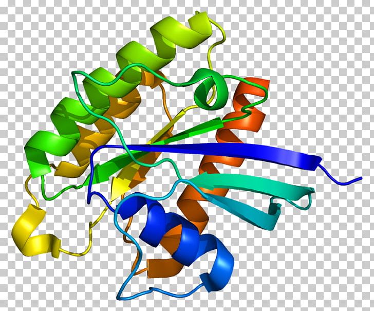 RHEB TSC2 G Protein TSC1 PNG, Clipart, Amino Acid, Artwork, Cell Cycle, Cterminus, Gene Free PNG Download
