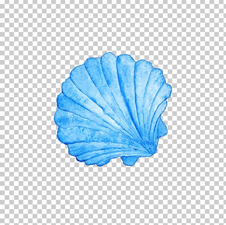 Seashell Watercolor Painting Photography PNG, Clipart, Animals, Azure, Beach, Blue, Free Sea Free PNG Download