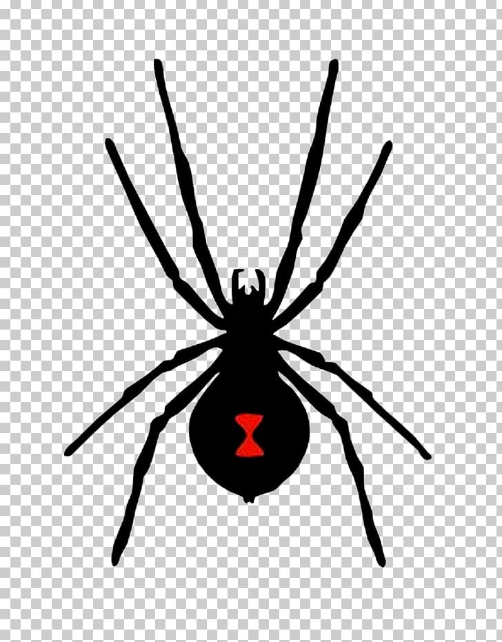 Spider Anatomy Latrodectus Hesperus Decal Diagram PNG, Clipart, Arachnid, Arthropod, Black And White, Black Widow, Chart Free PNG Download