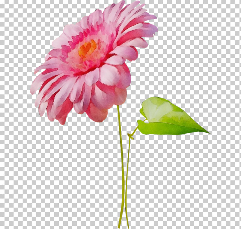 Floral Design PNG, Clipart, Annual Plant, Artificial Flower, Chrysanthemum, Cut Flowers, Dahlia Free PNG Download