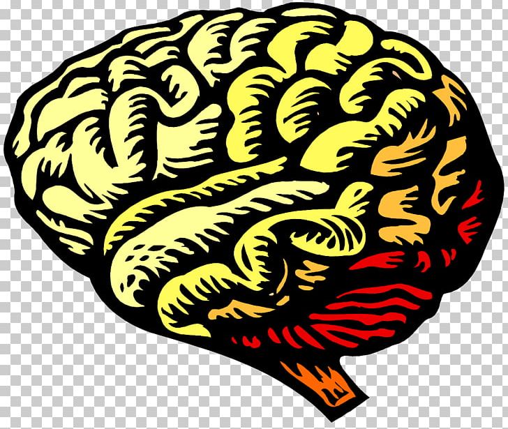 Brain Neuroscience Drawing PNG, Clipart, Artwork, Atrial Fibrillation, Brain, Cerebrum, Desktop Wallpaper Free PNG Download