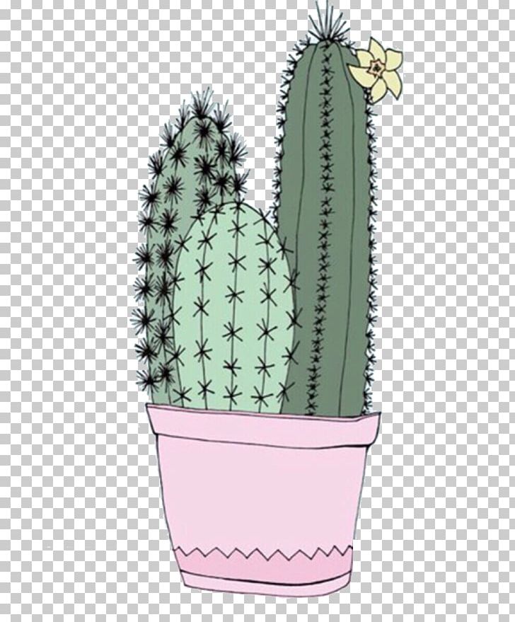 Cactaceae Lock Screen PNG, Clipart, Cactus, Cactus Vector, Caryophyllales, Color, Creative Free PNG Download