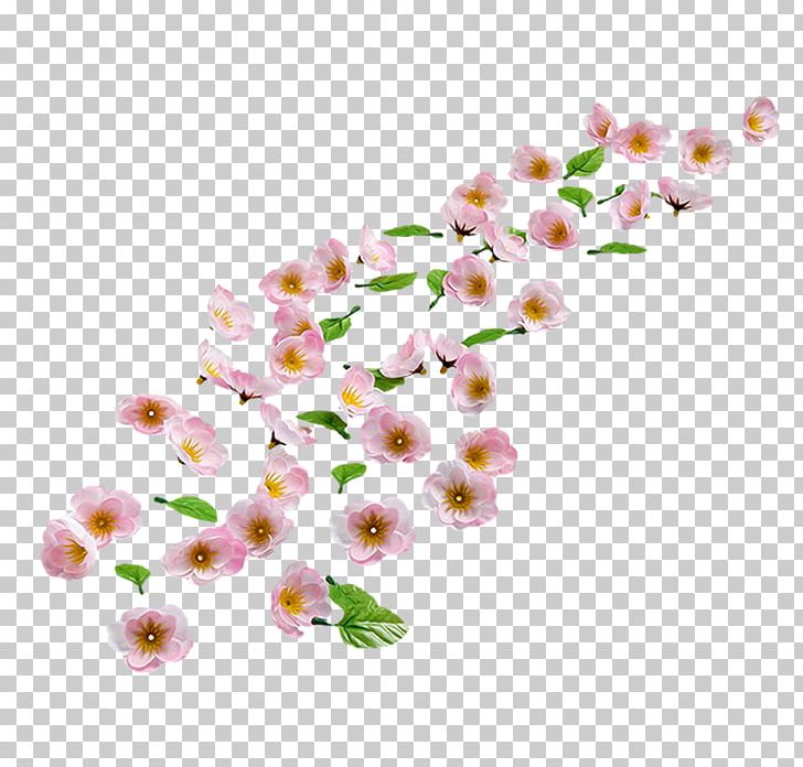 Cherry Blossom Sweet Cherry Almond Flower PNG, Clipart, Almond, Almond Blossoms, Blossom, Branch, Cerasus Free PNG Download