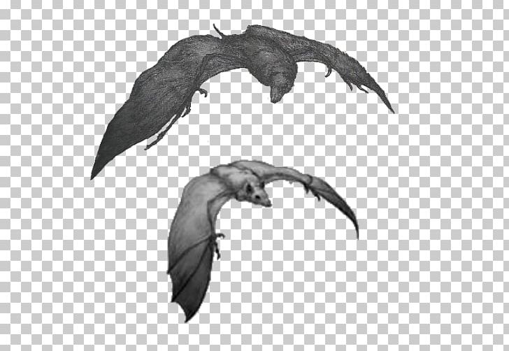 Bat Silverwing Wikia Carnivore PNG, Clipart, Ancestor, Animals, Archeology, Bat, Beak Free PNG Download