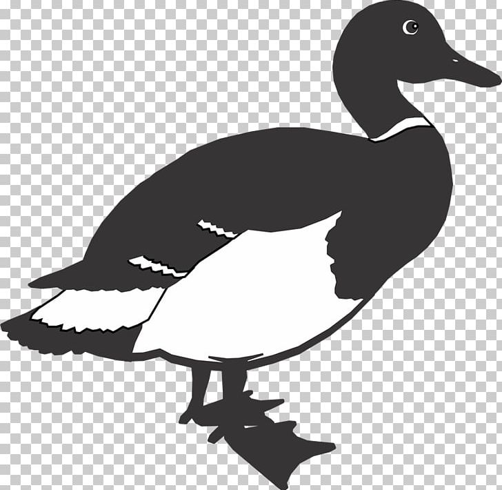 Duck Goose Bird Space PNG, Clipart, Beak, Bird, Black And White, Drawing, Duck Free PNG Download