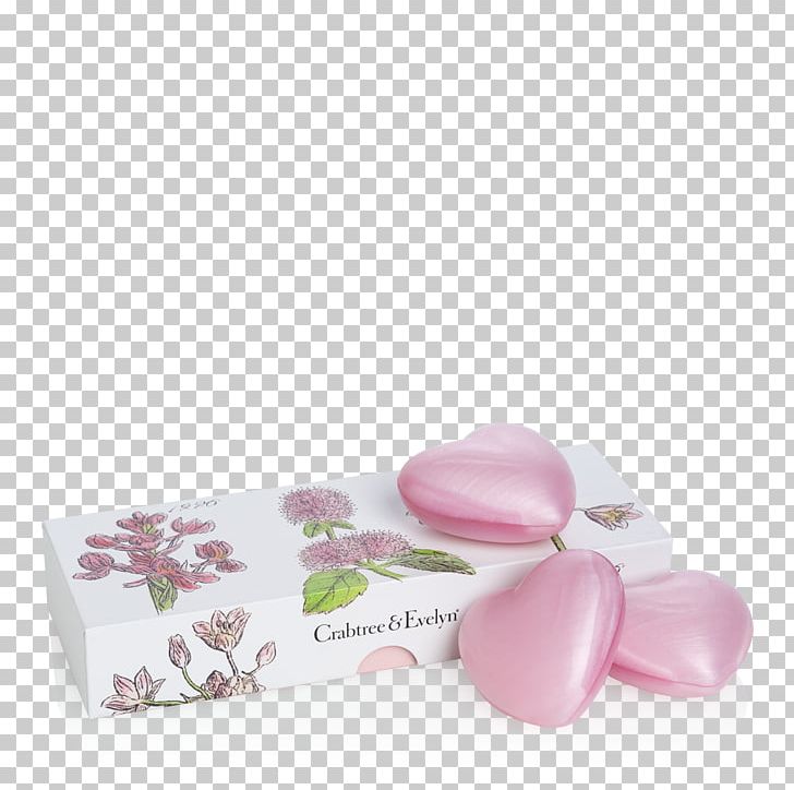 Lilac PNG, Clipart, Lilac, Nature, Petal, Rosewater Free PNG Download