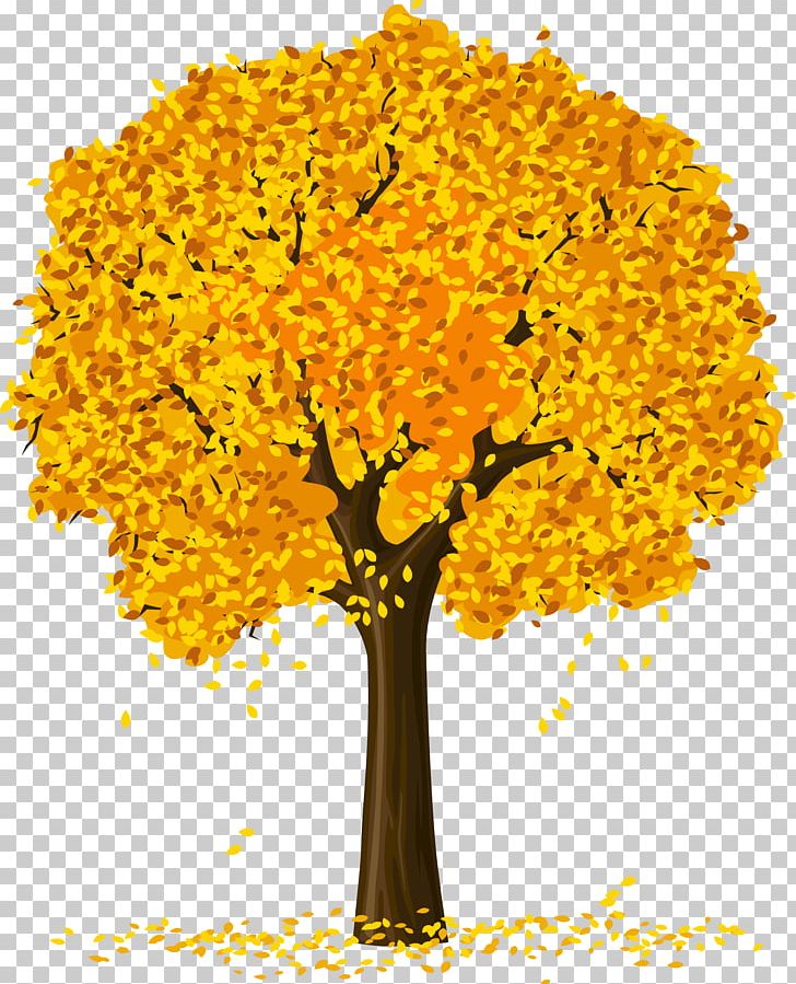 Tree PNG, Clipart, Art, Autumn, Branch, Clip Art, Drawing Free PNG Download