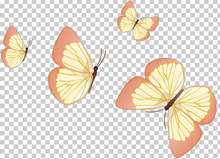 Butterfly Insect Wing Insect Wing PNG, Clipart, Brush Footed Butterfly, Butterflies And Moths, Butterfly, Flower, Fruit Free PNG Download