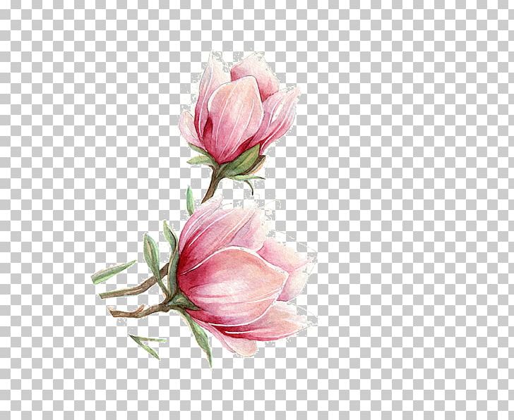National Cherry Blossom Festival Pink PNG, Clipart, Artificial Flower, Blossom, Cherry, Cherry Blossom, Cherry Blossoms Free PNG Download