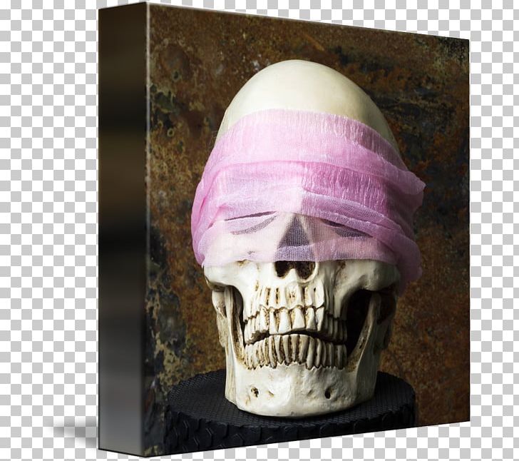 Skull PNG, Clipart, Bone, Fantasy, Jaw, Skull Free PNG Download
