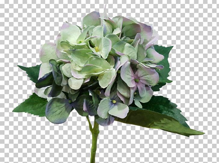 Hydrangeaceae Cut Flowers Lilac PNG, Clipart, Artificial Flowers Mala, Cornales, Cut Flowers, Flower, Flowering Plant Free PNG Download