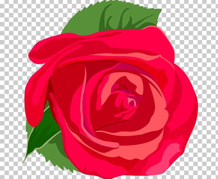 Rose PNG, Clipart, China Rose, Computer Graphics, Computer Icons, Download, Encapsulated Postscript Free PNG Download