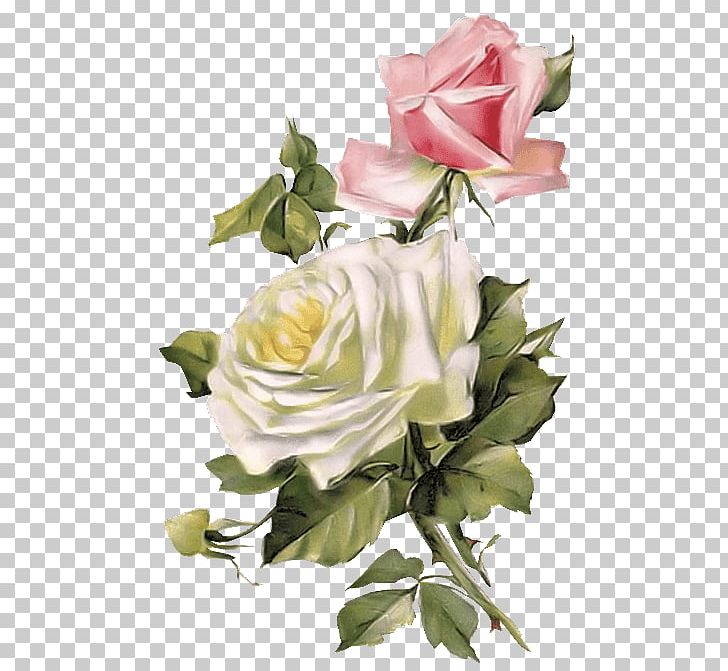 Rose Vintage Clothing Flower PNG, Clipart, Christie Repasy, Clothing, Cut Flowers, Decoupage, Drawing Free PNG Download