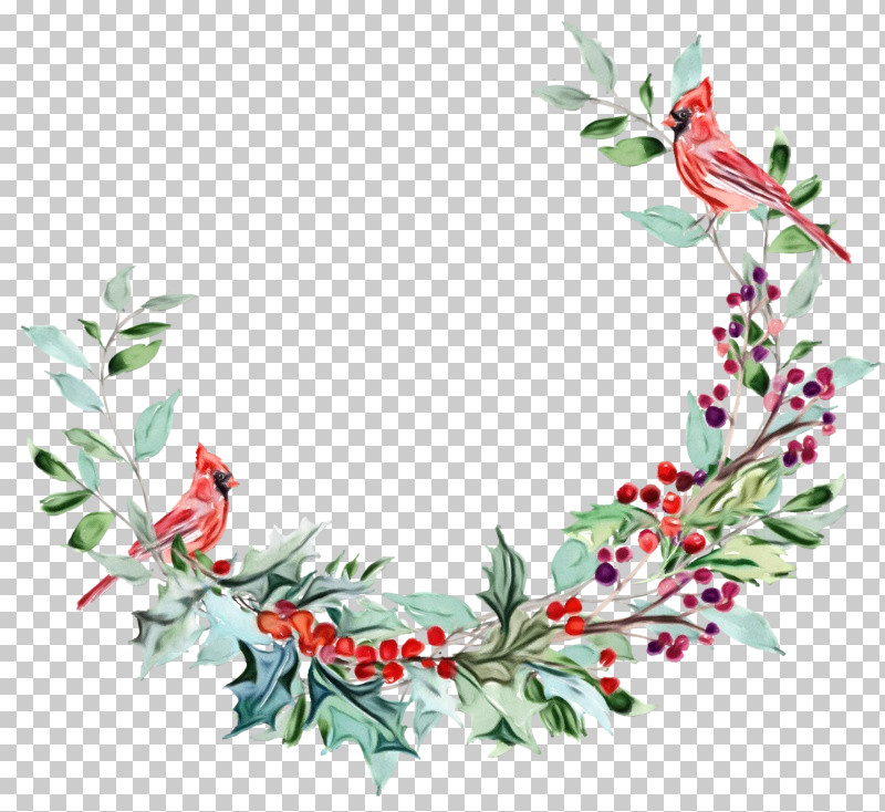 Christmas Decoration PNG, Clipart, Branch, Christmas Decoration, Flower, Hawthorn, Holly Free PNG Download